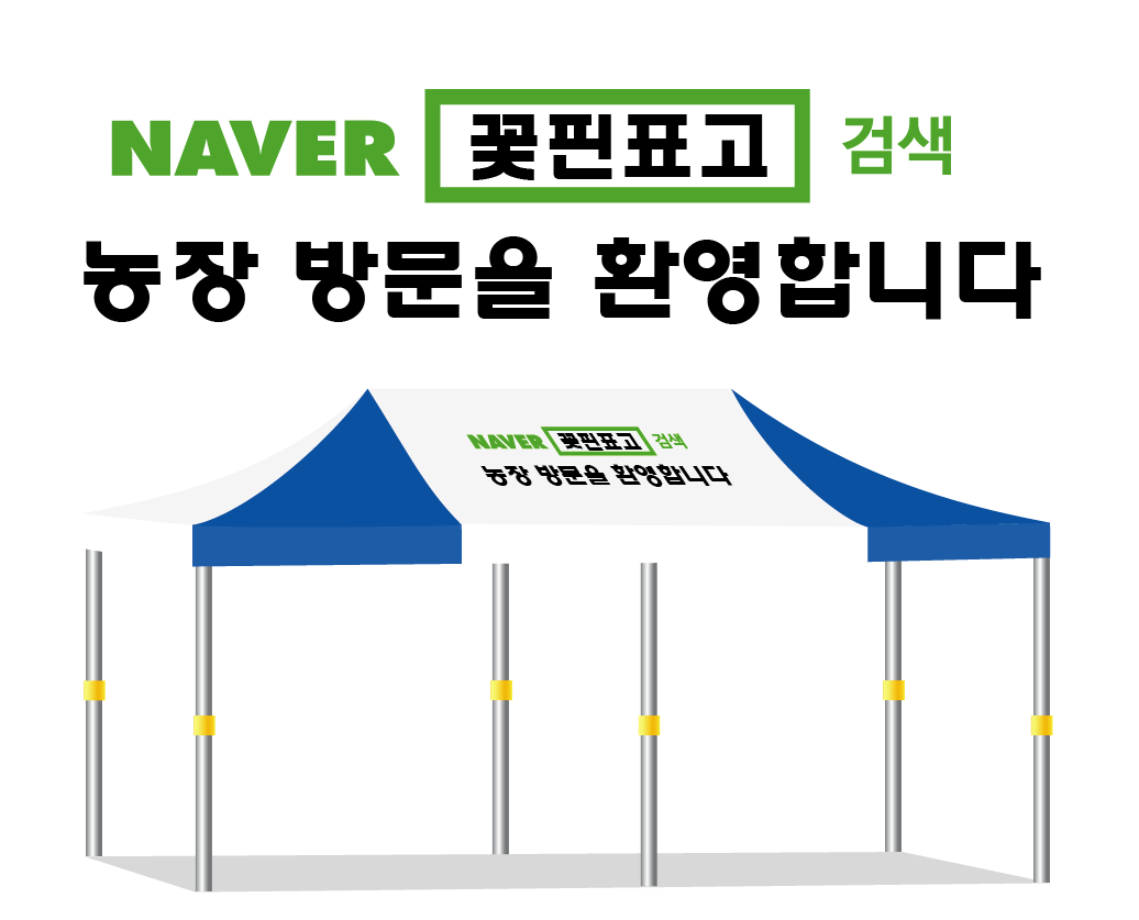 꽃핀표고.PNG
